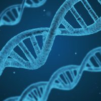 Predlog Zakona o nacionalnom DNK registru