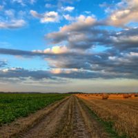 Prikaz izmena i dopuna Zakona o poljoprivrednom zemljištu